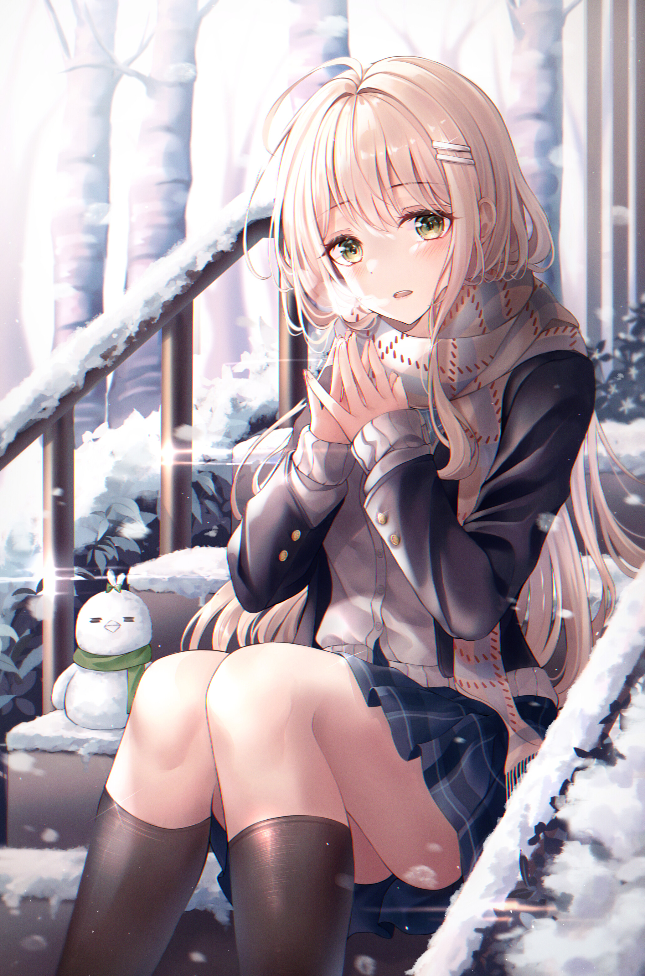 Taiga_