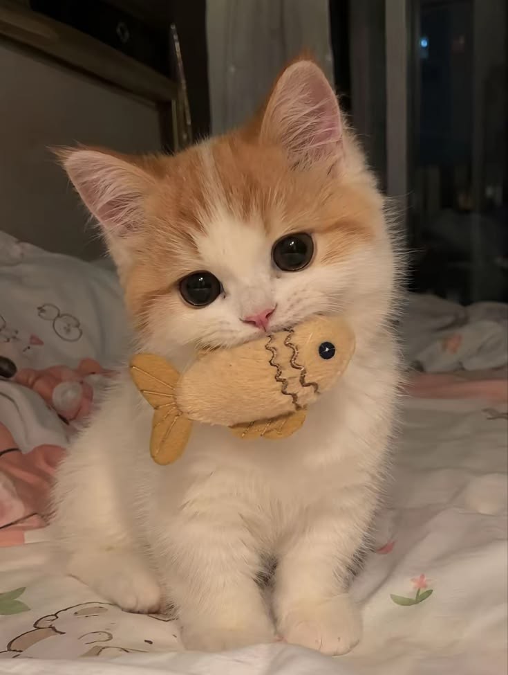 ℰ