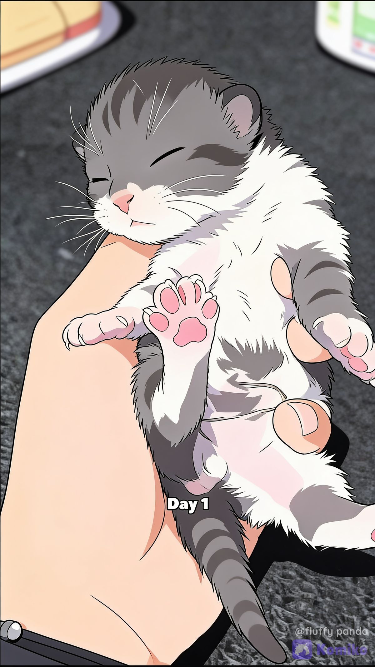 Cat day 1