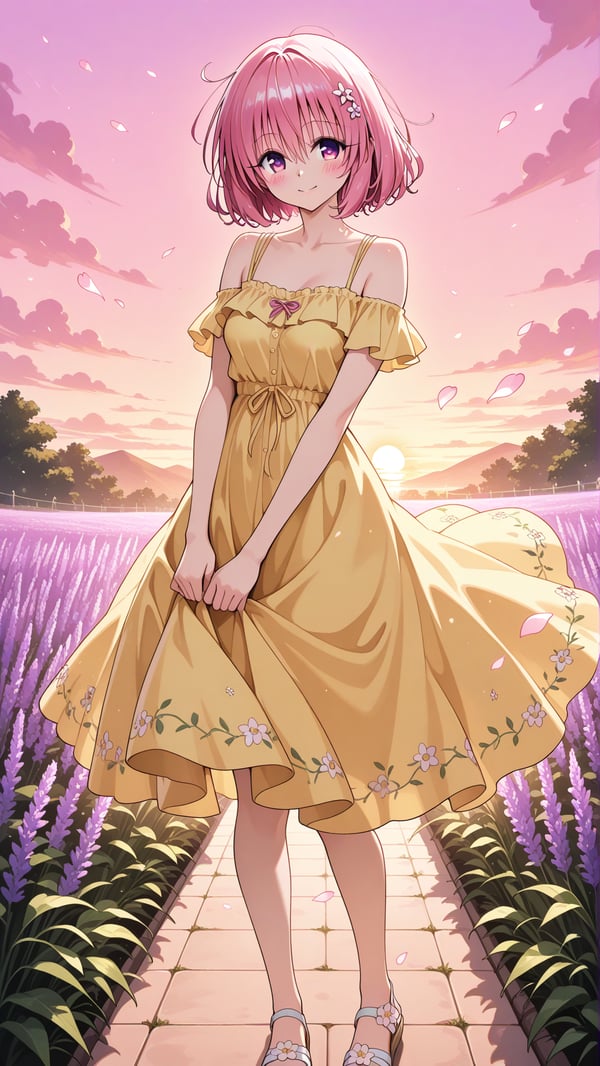 Momo y el Encanto del Atardecer 💛🌸