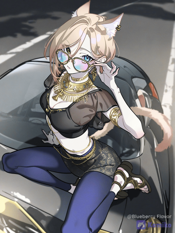 Fancy Cat
