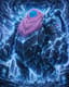 @{dynamax-docyca-NXvg}
